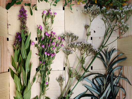 Freshly foraged wild herbs and flowers arranged in baskets
