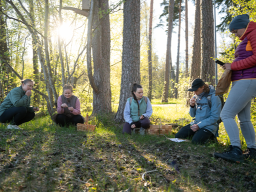 Guided wild herb foraging workshop in a Finnish forest near Helsinki